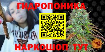 герыч Бийск